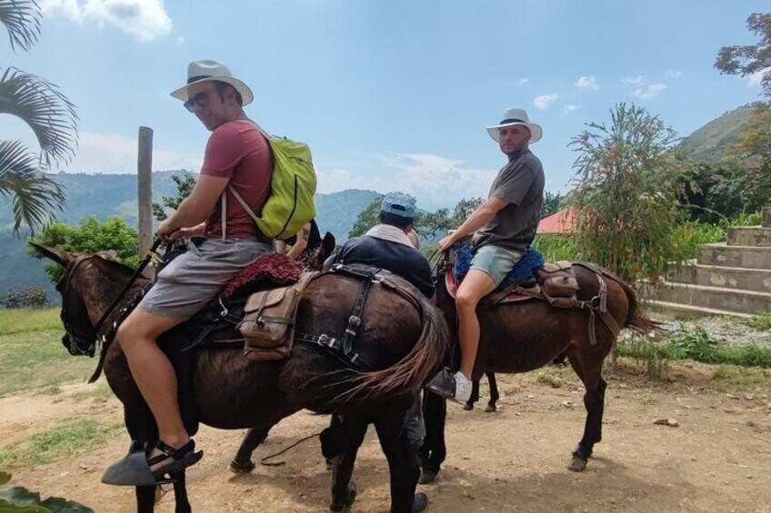 Horseback Riding Adventure from Medellin