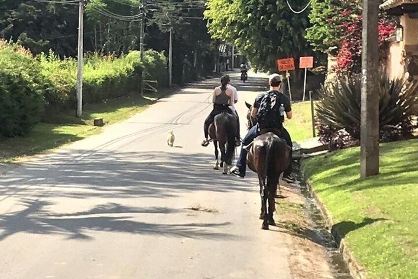 Horseback Riding Adventure from Medellin