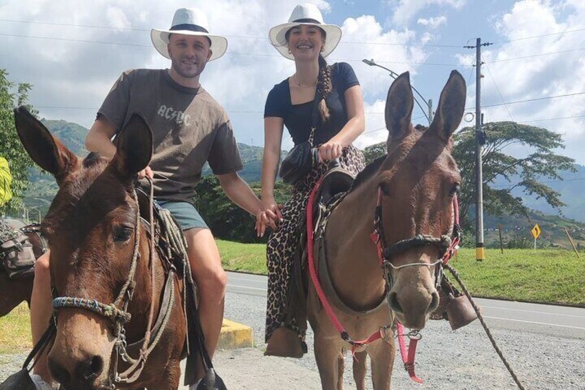 Horseback Riding Adventure from Medellin