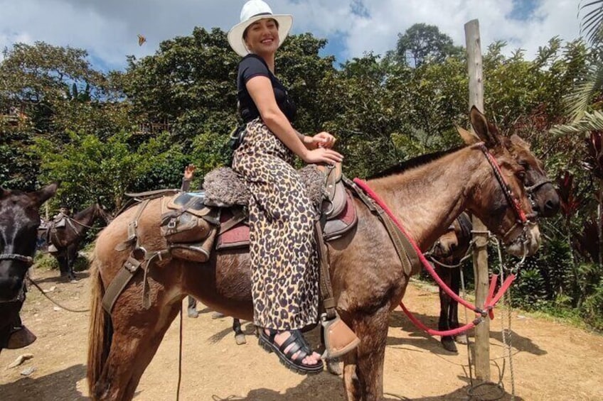 Full-Day Zipline, ATV and Horseback Riding Private Adventure from Medellín