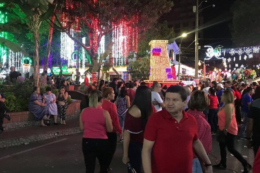 Christmas Lights Tour in Medellin