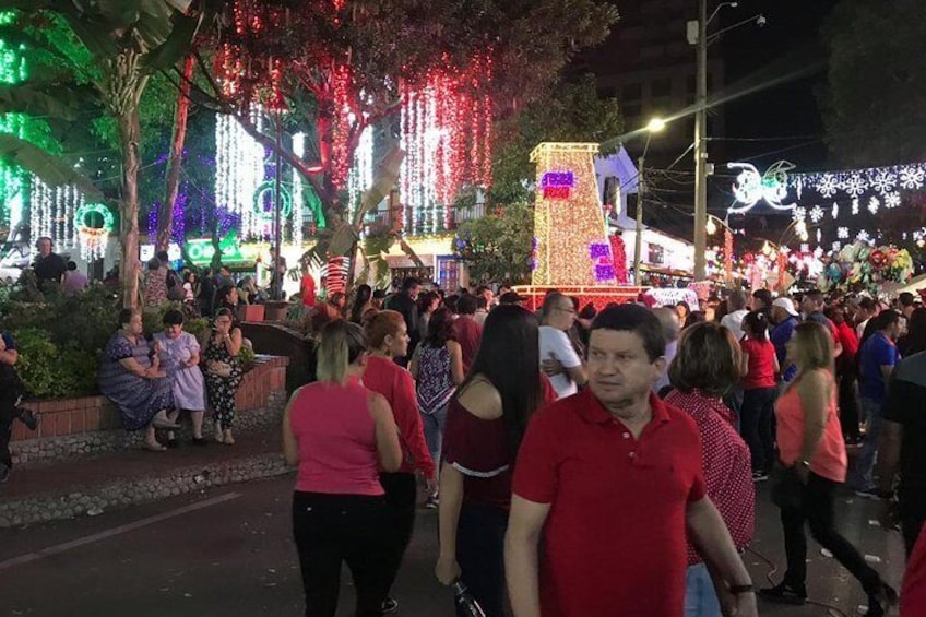Christmas Lights Tour in Medellin