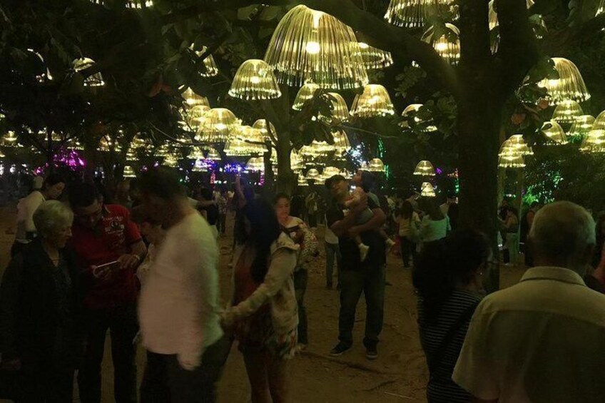 Christmas Lights Tour in Medellin