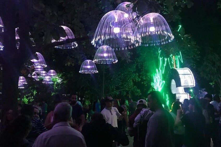 Christmas Lights Tour in Medellin