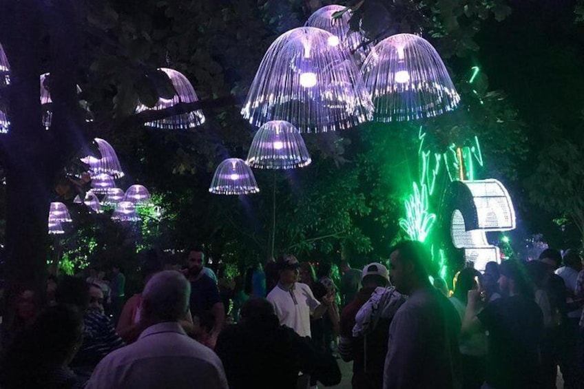Christmas Lights Tour in Medellin