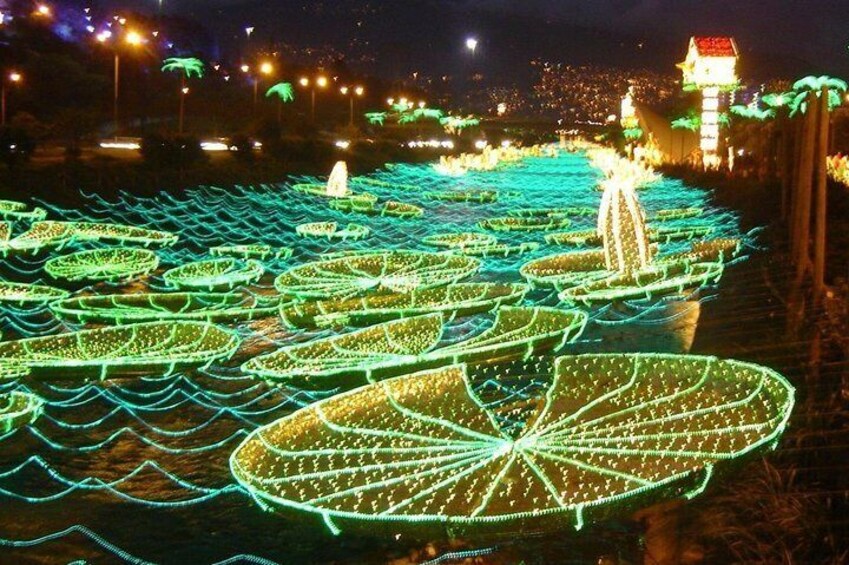 Christmas Lights Tour in Medellin