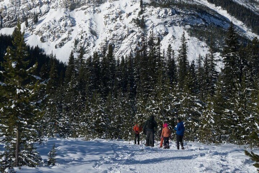 Snowshoeing in Kananaskis