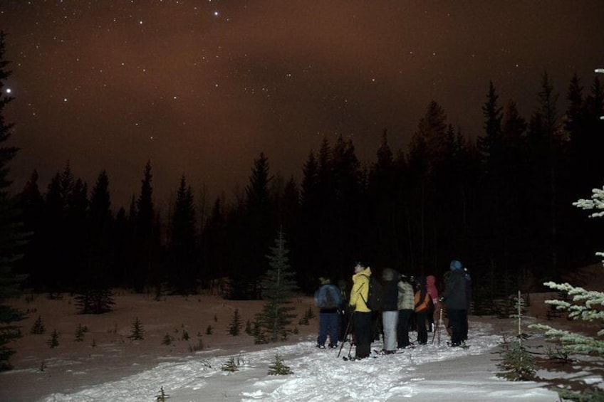 Full Moon Snowshoe Tour