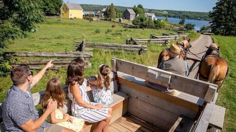 Hop on a horse & wagon ride.