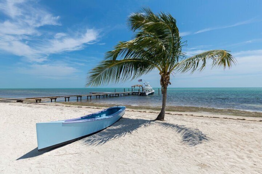 KEY WEST ACTION DAY TOUR with water sports activities