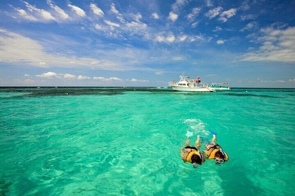 Miami: excursión de un día a Key West con actividades de navegación opciona...
