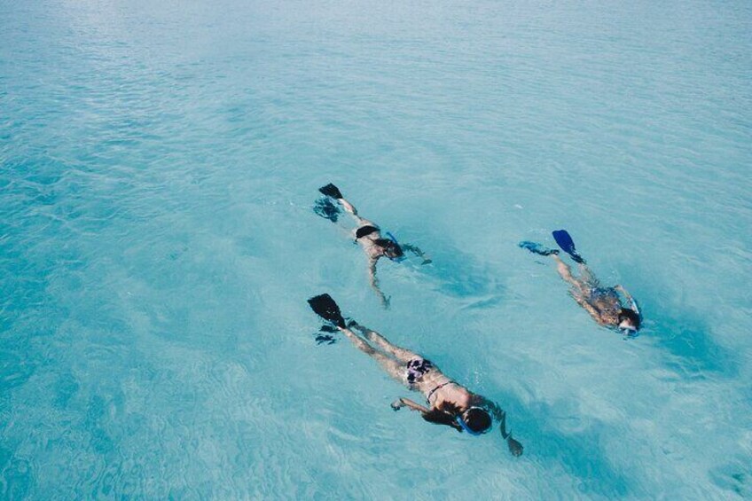 From Miami: Key West with options like Snorkel with Drinks