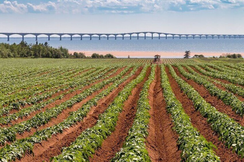 Confederation Bridge
©Tourism PEI / Stclair Macaulay