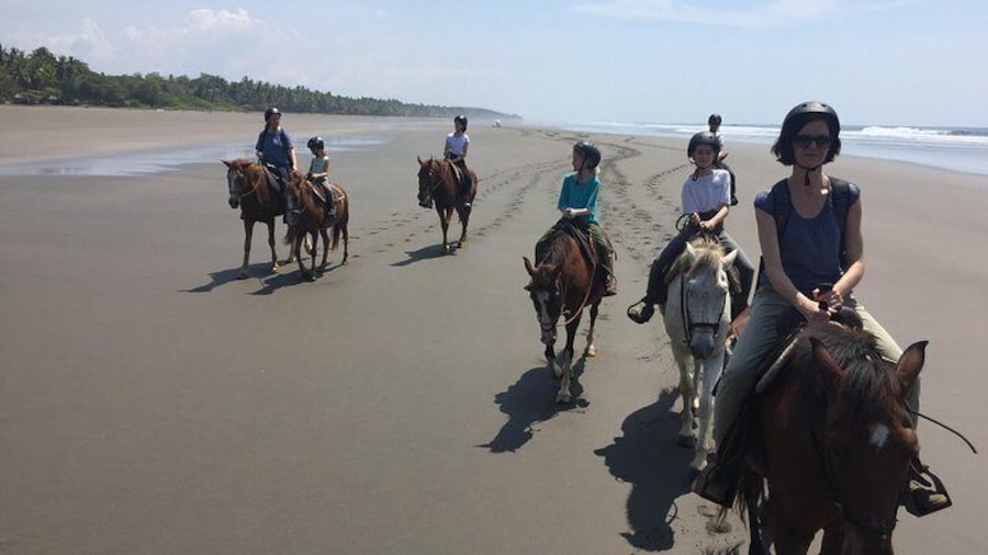 CR BEACH BARN- Horseback Riding On The gorgeous Beach