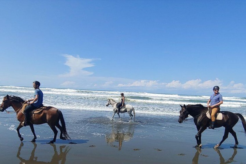 Quality Horseback Riding on the Beach (CR Beach Barn).