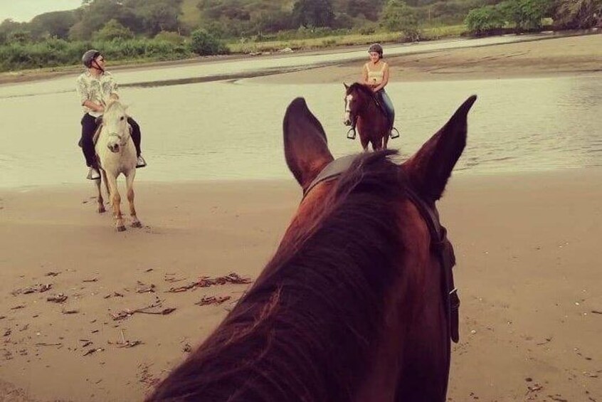 Quality Horseback Riding on the Beach (CR Beach Barn).