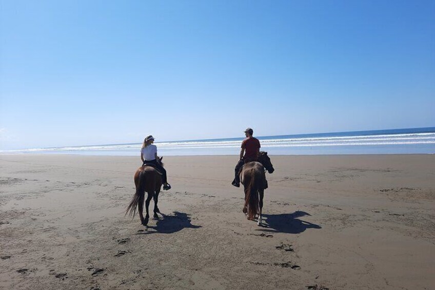 Quality Horseback Riding on the Beach (CR Beach Barn).