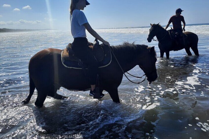 Quality Horseback Riding on the Beach (CR Beach Barn).