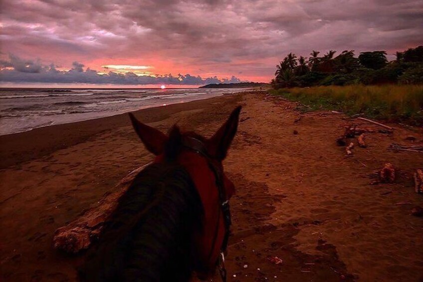 Quality Horseback Riding on the Beach (CR Beach Barn).