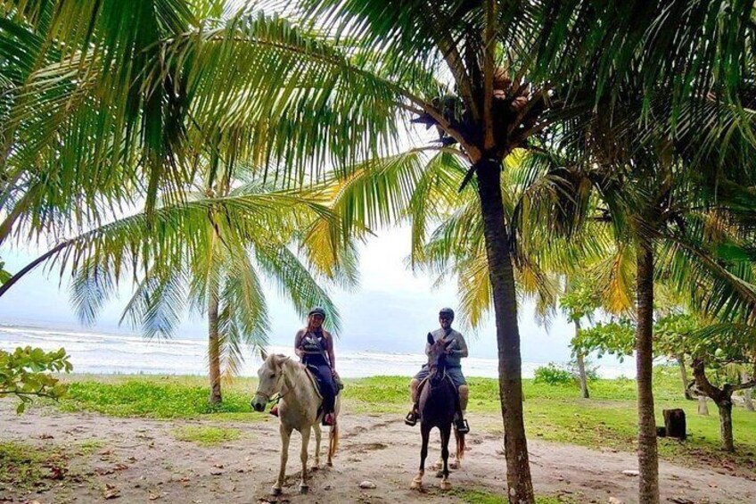 Quality Horseback Riding on the Beach (CR Beach Barn).