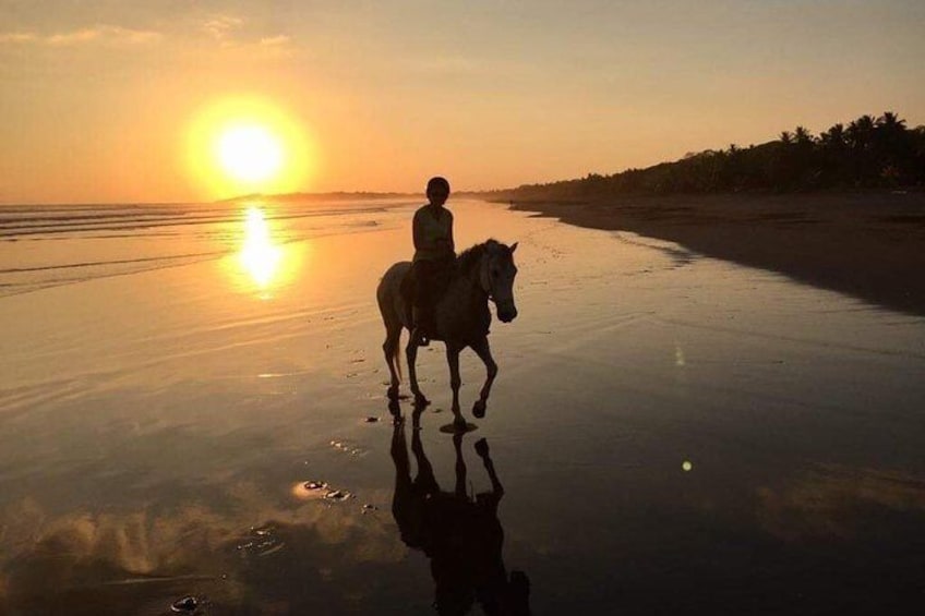 Quality Horseback Riding on the Beach (CR Beach Barn).