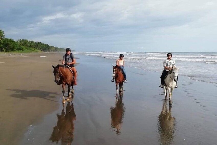 Quality Horseback Riding on the Beach (CR Beach Barn).