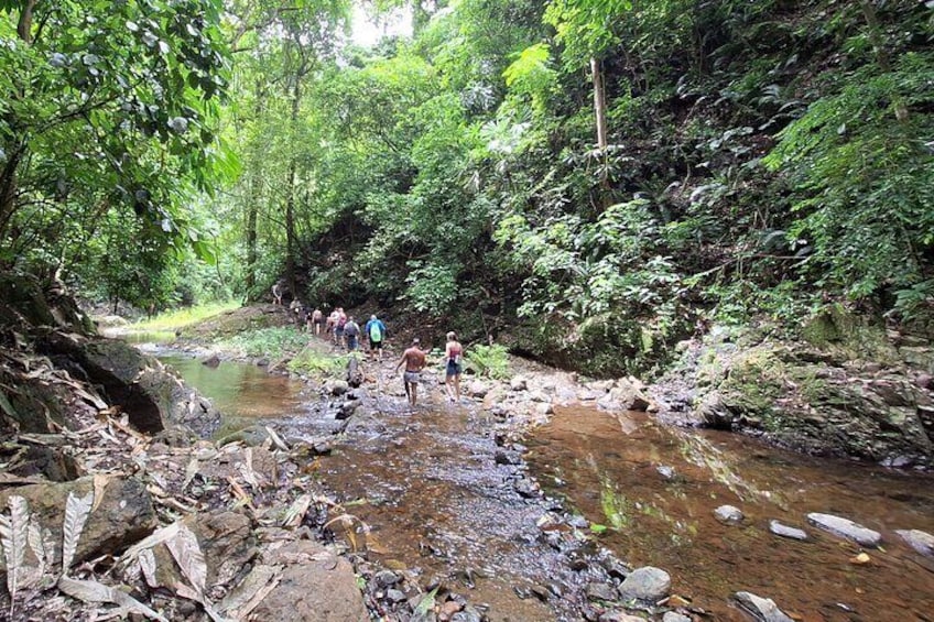 Chagres Rainforest