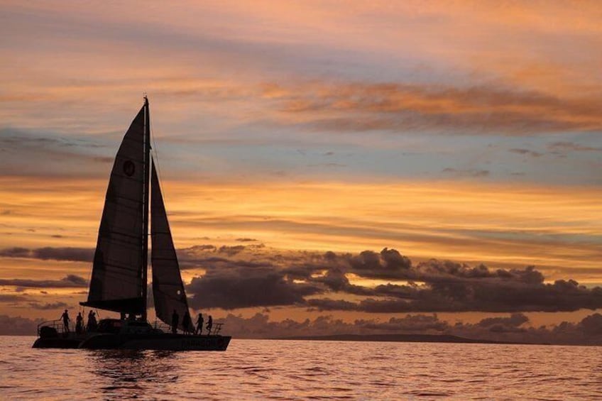 Sunset Sail 