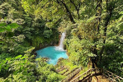 Wildlife Nature Hike, Blue Waterfall, Lunch & Sloth Trail - Tenorio Volcano...