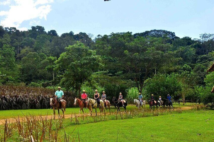 ATV Adventure & Horseback Riding with Waterfalls Combo Tour 