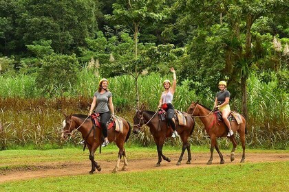 ATV Adventure + Horseback Riding and Natural Swimming Pool