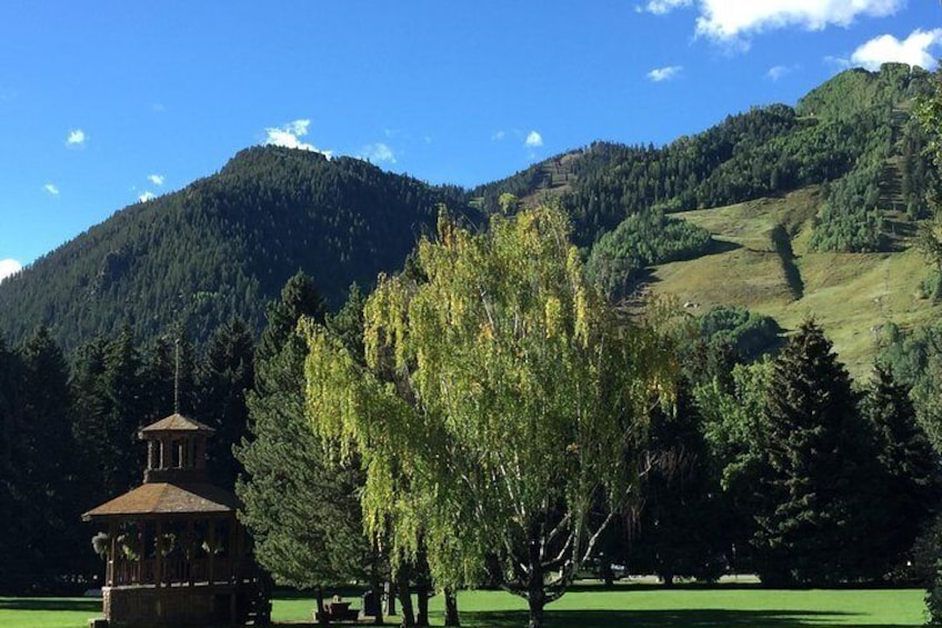 Aspen dressed in green