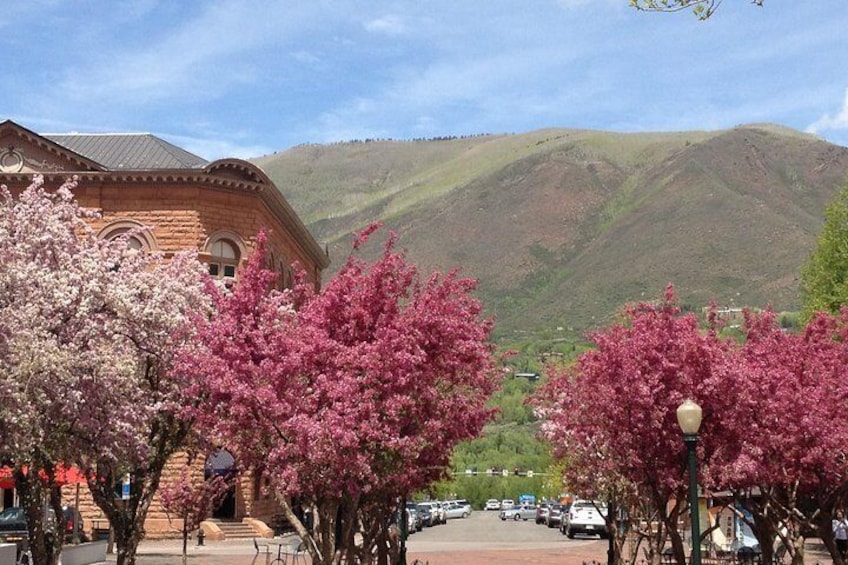 Aspen's Wheeler Opera House