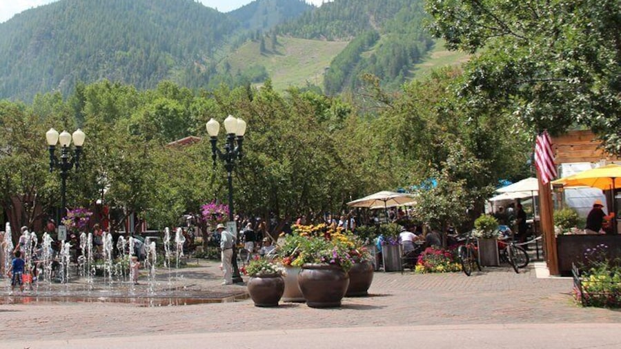 Glimpse of Aspen