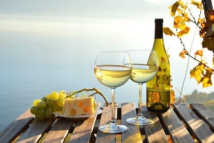 The Hamptons and Long Island Wineries Private Tour