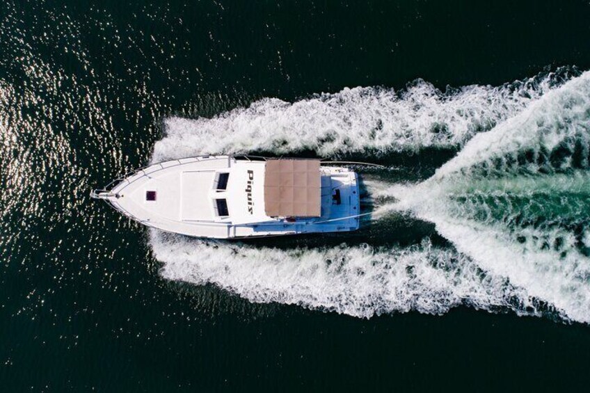 Custom 46' Boat in Puerto & Nuevo Vallarta