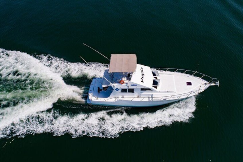 Custom 46' Boat in Puerto & Nuevo Vallarta