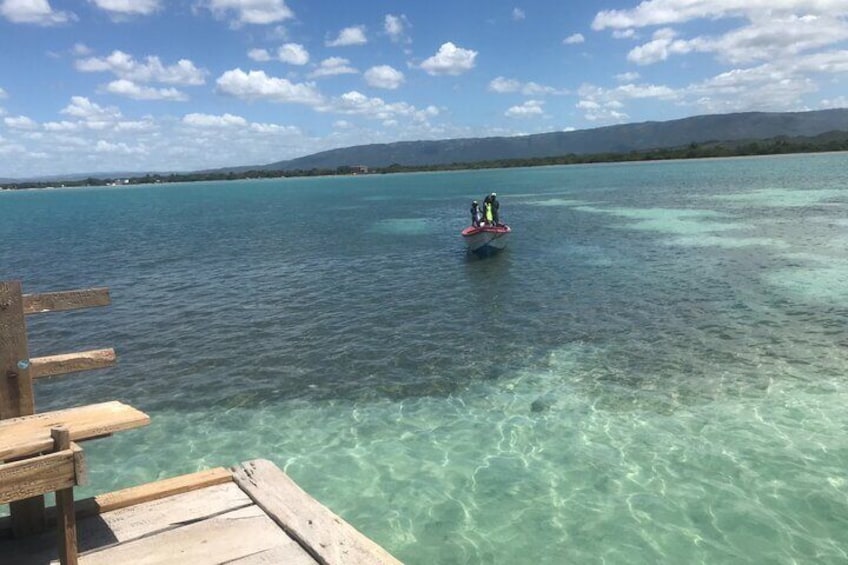 Pelican bar