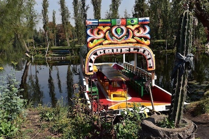 Visite privée de Xochimilco et Coyoacán