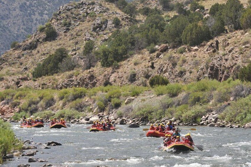 Arkansas River Half Day Bighorn Sheep Canyon