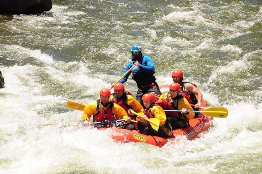 Show item 1 of 7. Clear Creek Beginner
