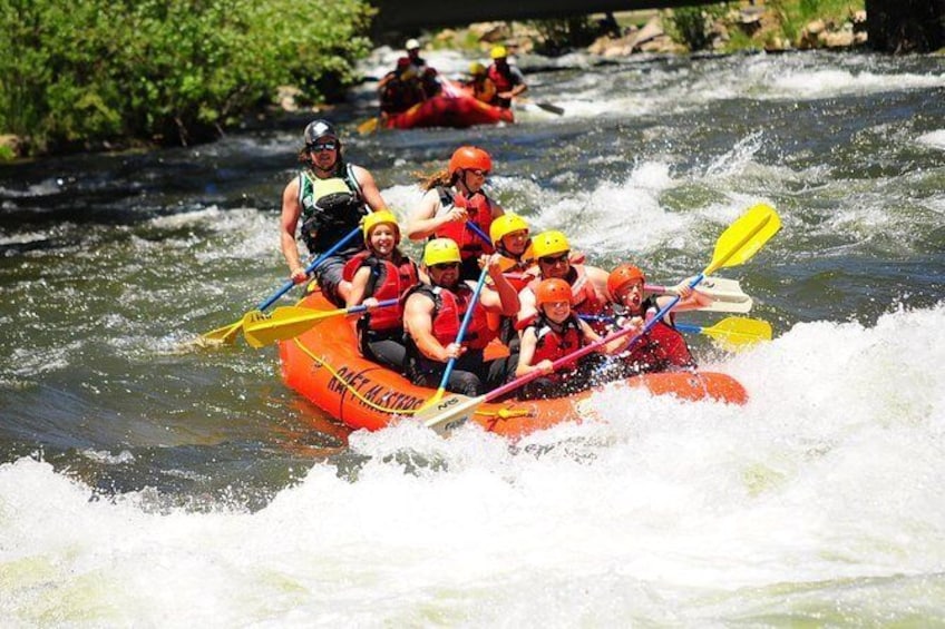 Show item 3 of 7. Clear Creek Beginner