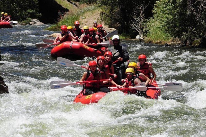 Show item 4 of 7. Clear Creek Beginner