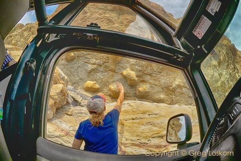 Dinosaur footprints embedded in rock