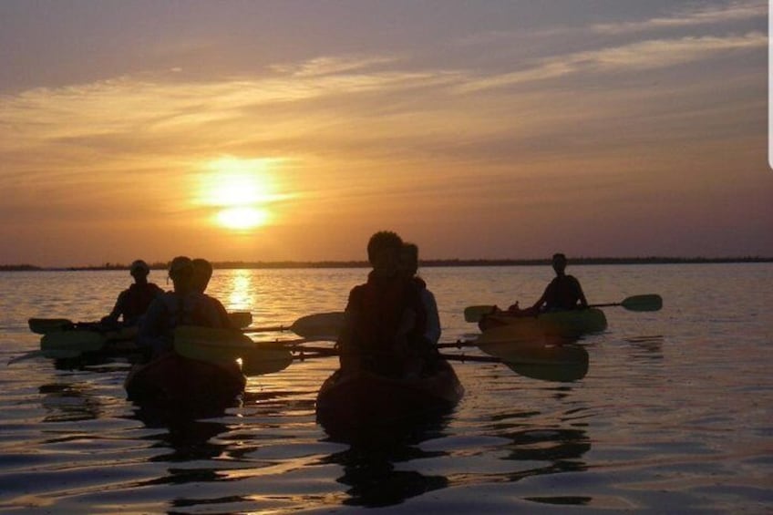 Sunset Kayaking w/ Florida Bioluminescence Combo Tour | Haulover canal