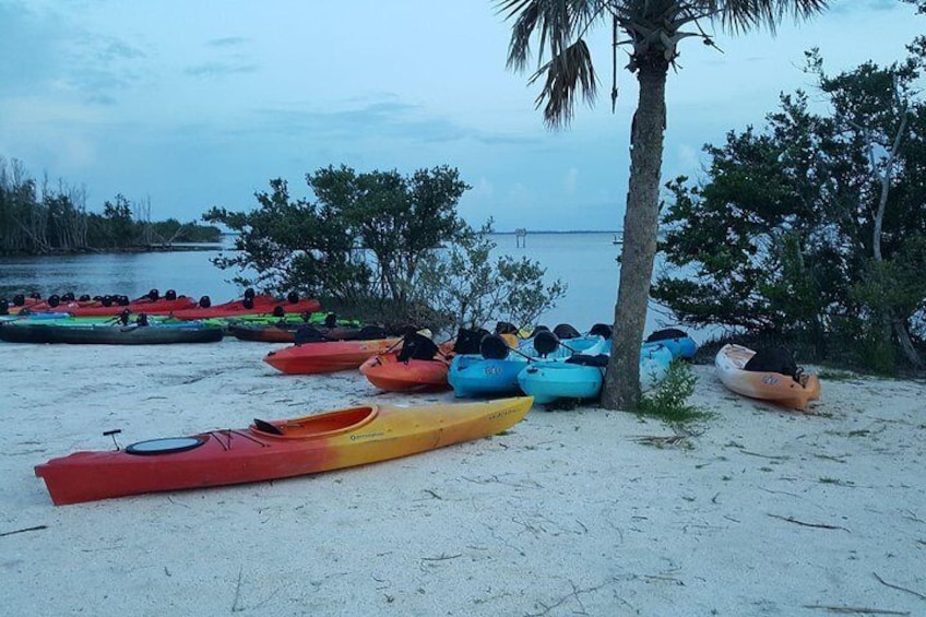 Sunset Kayaking w/ Florida Bioluminescence Combo Tour | Haulover canal