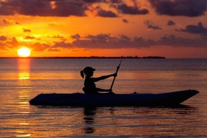 Sunset Kayaking mit Florida Bioluminescence Combo Tour | Transportkanal