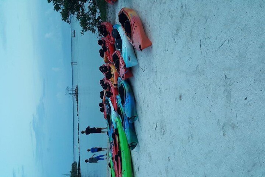 Sunset Kayaking w/ Florida Bioluminescence Combo Tour | Haulover canal