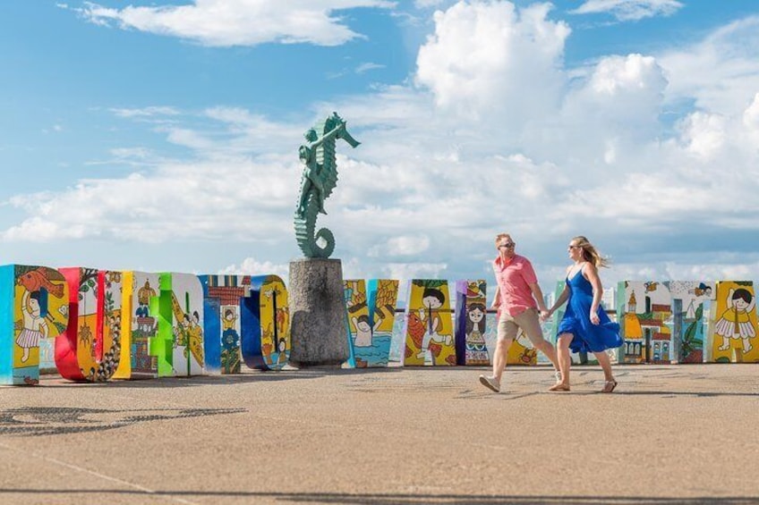 We'll capture the magic of your trip to Puerto Vallarta.