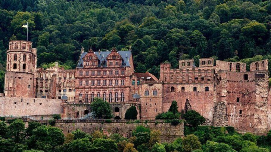 Heidelberg Public Walking Tour With A Professional Guide